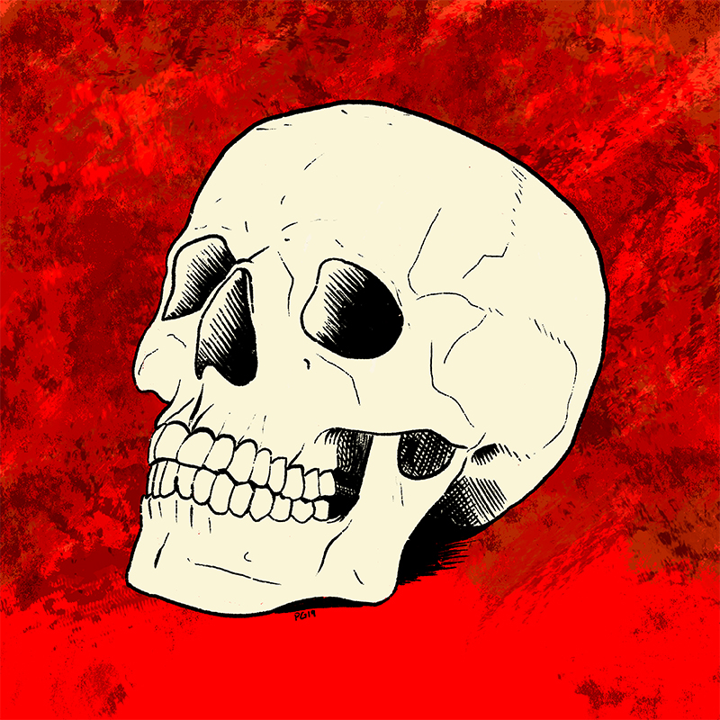 Skull Illustration